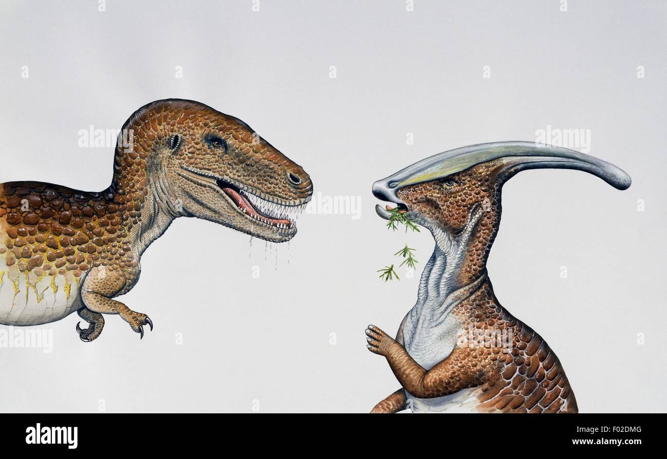 L'Albertosaurus sarcophagus, Tyrannosauridae, et Parasaurolophus sp, Hadrosauridae, Crétacé. L'illustration. Banque D'Images
