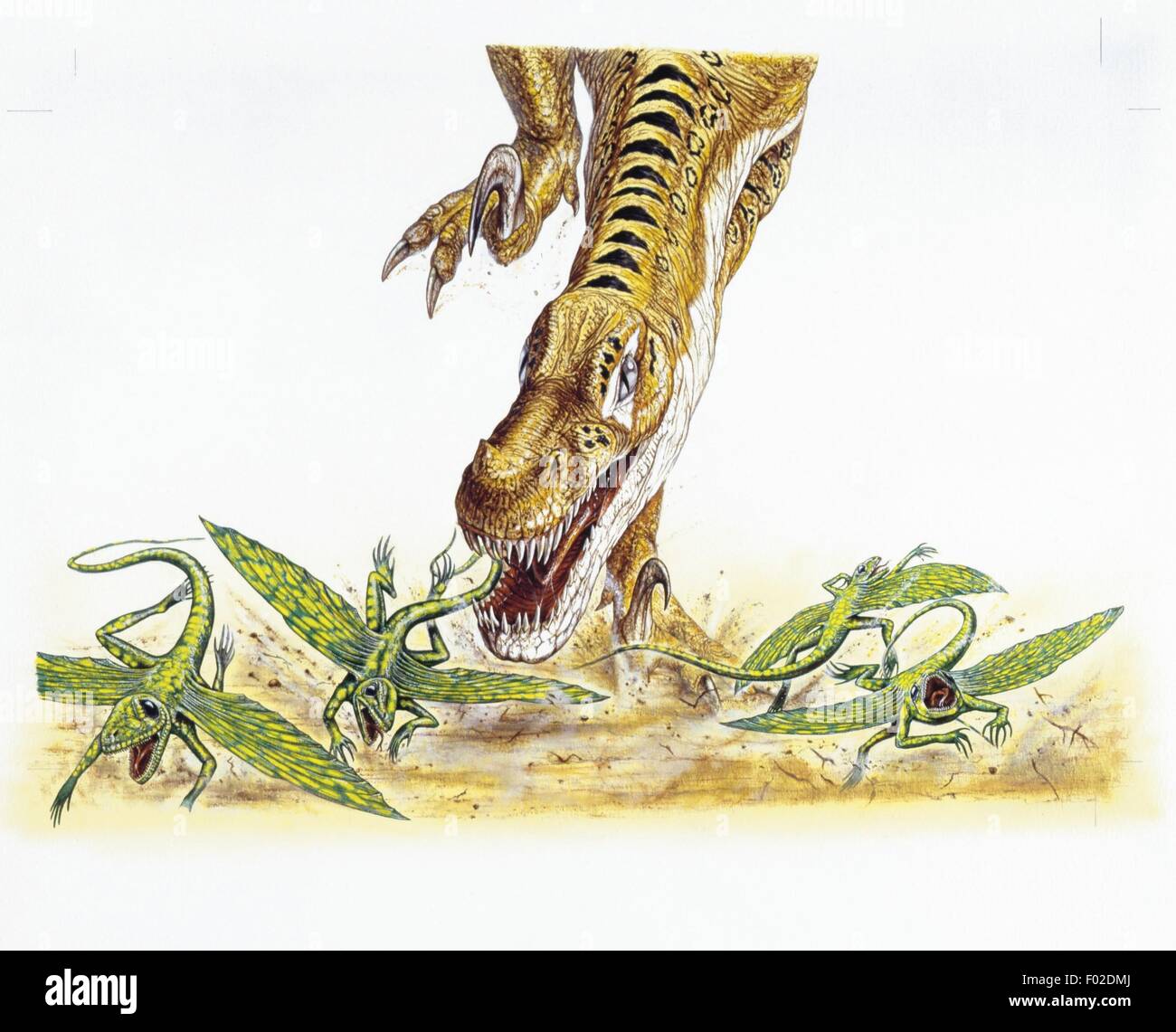 Paléozoologie - Crétacé - Dinosaures - Velociraptor - travail d'Art Banque D'Images