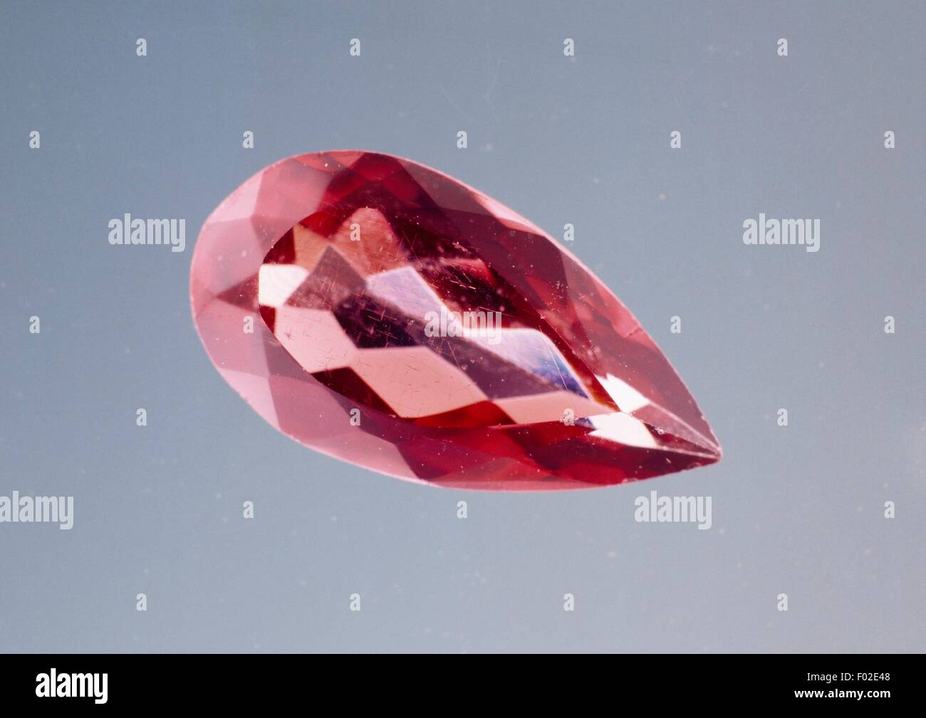 Pyrope pyrope Banque de photographies et d’images à haute résolution ...