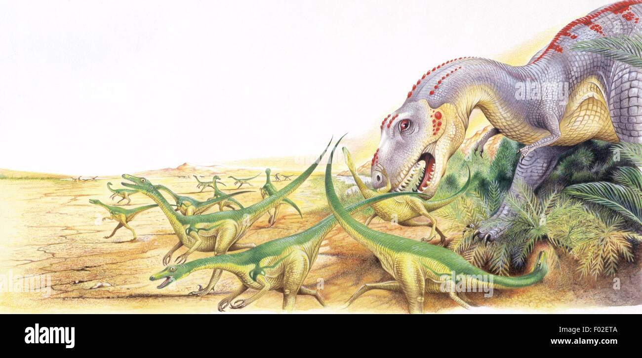 Paléozoologie - Crétacé - Dinosaures - Tarbosaurus - travail d'Art Banque D'Images