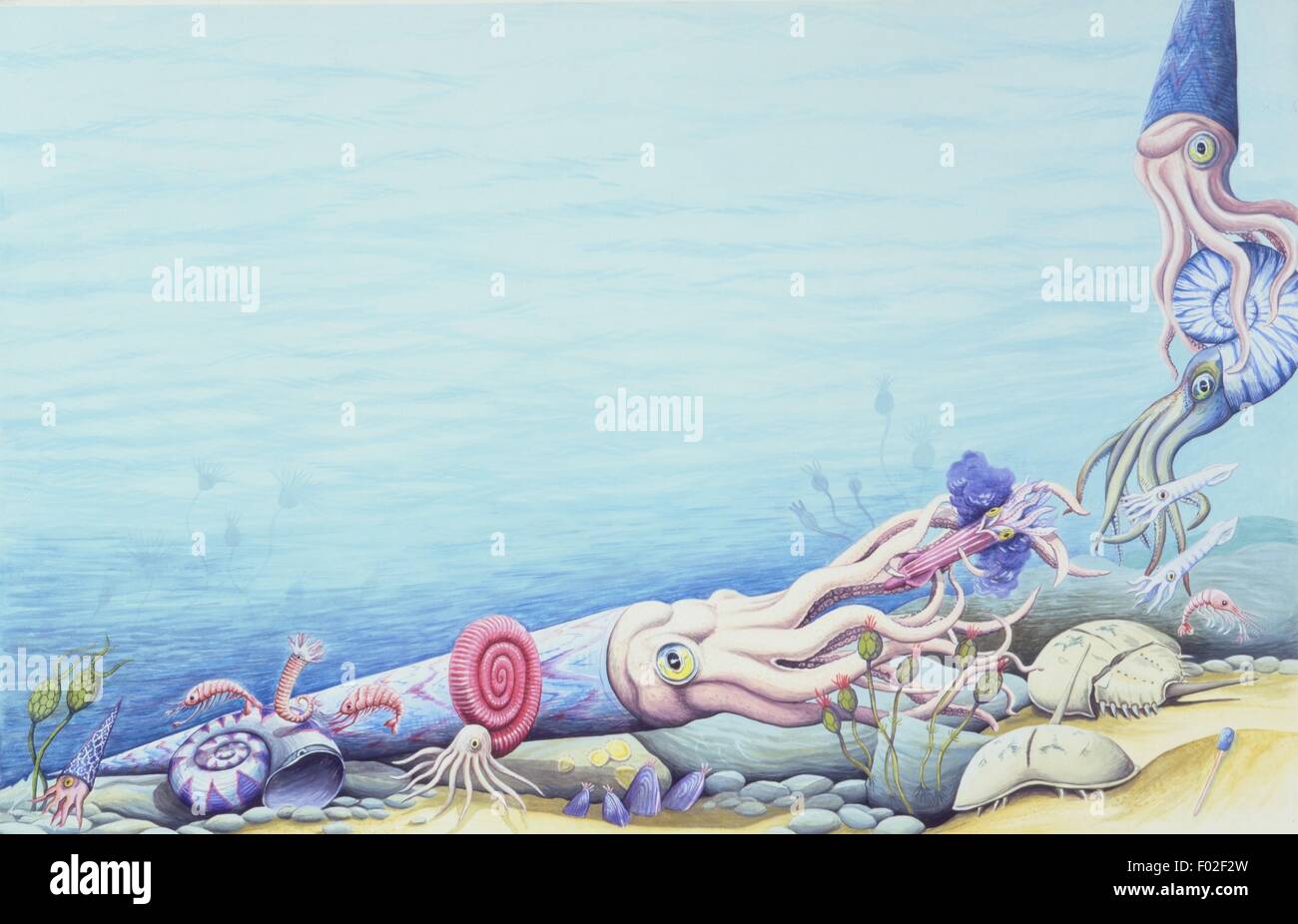 Paléozoologie - mollusques céphalopodes dans un environnement marin - travail d'Art Banque D'Images