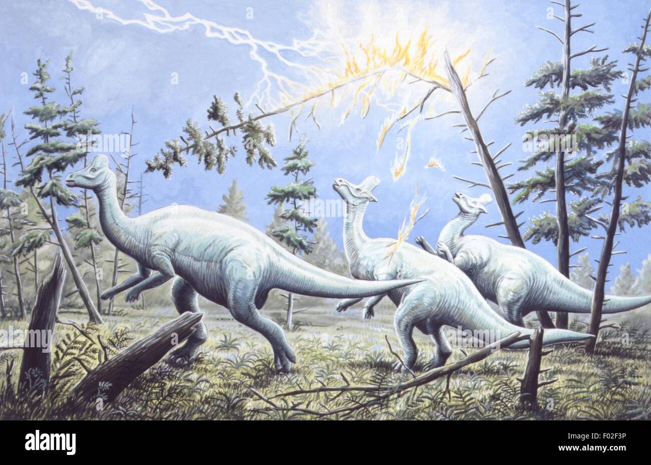 Paléozoologie - Crétacé - Dinosaures - Lambeosaurus - Art par Chris Turball Banque D'Images