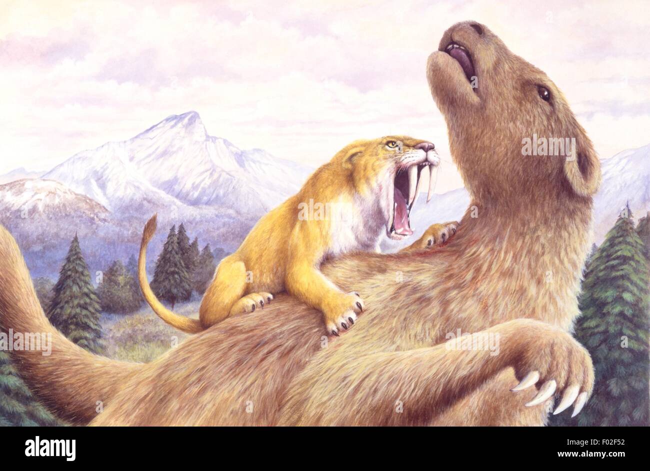 Paléozoologie - période du pléistocène - mammifères disparus - Smilodon attaque un uneau géant - Art par David Scott Banque D'Images