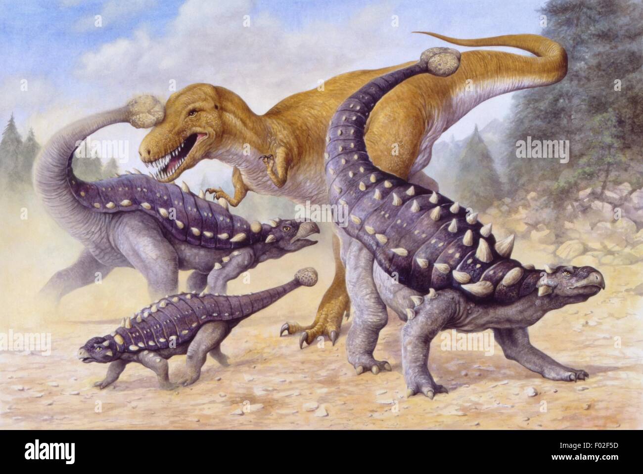 Paléozoologie - Crétacé - Dinsaurs - Ankylosaurus et Albertosaurus - Art par Peter David Banque D'Images