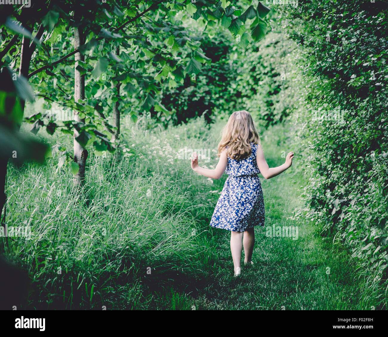 Vue arrière d'une fille qui marche à travers la forêt Banque D'Images