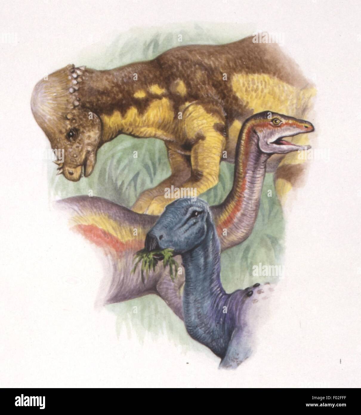 Paléozoologie - Crétacé - Dinosaures - Ornithomimus, Thescelosaurus, Pachycephalosaurus -Art par Peter David Scott Banque D'Images