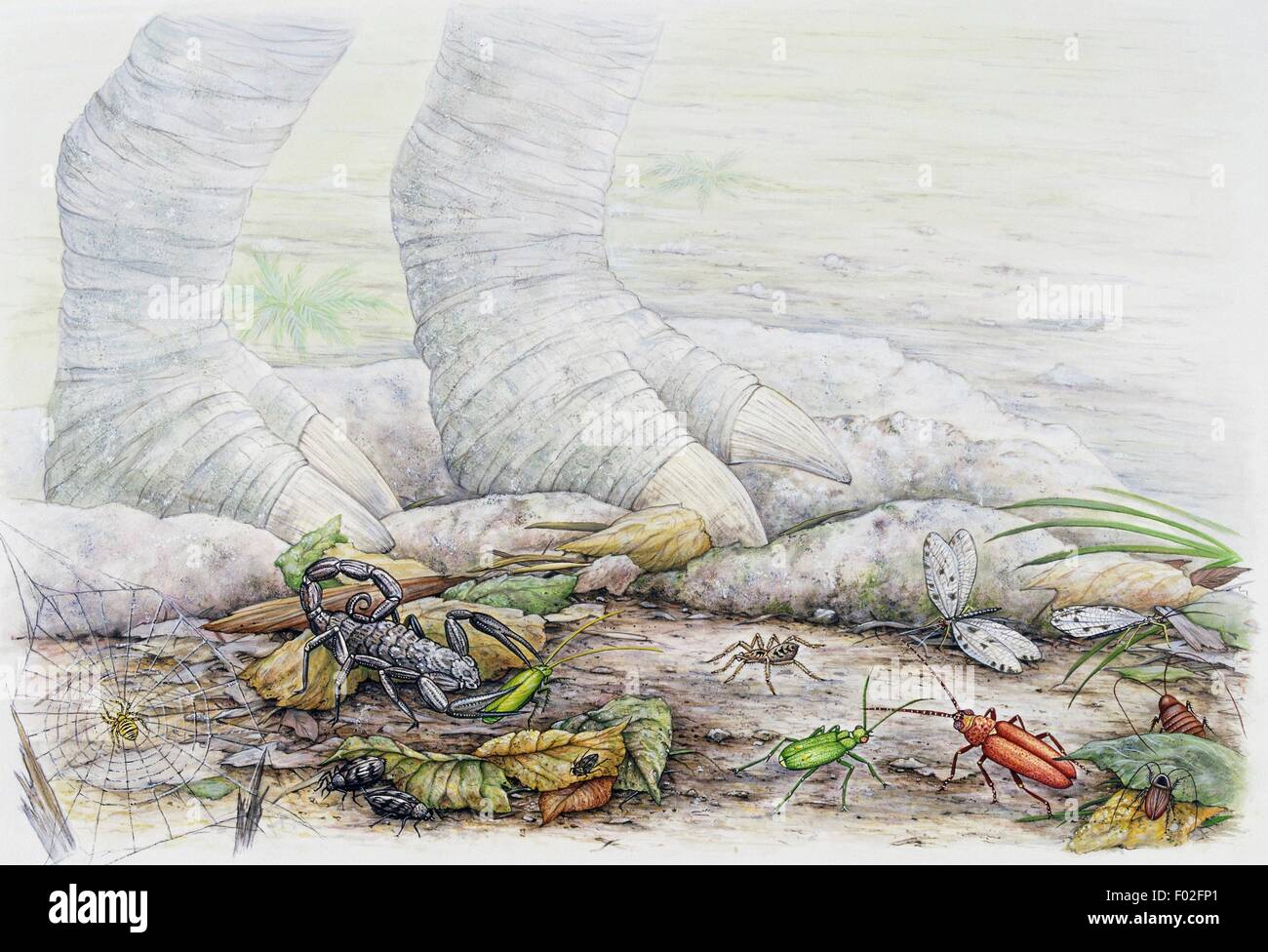 De gauche à droite, l'Orbe-web, les carabes, araignées, scorpions, cafards Green Spider de chasse, les libellules, les cafards. Artwork par Angela Hargreaves. Banque D'Images