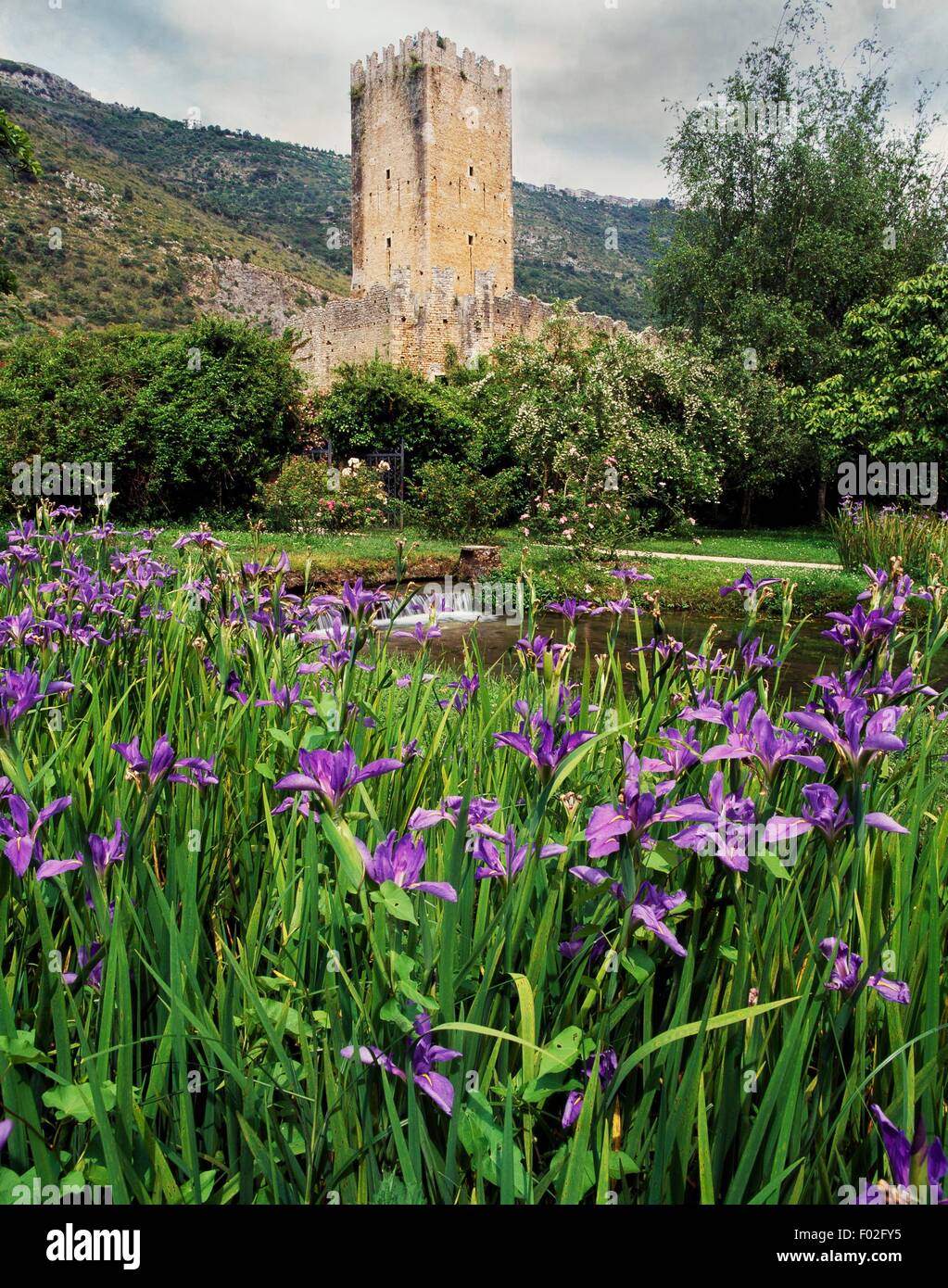 La tour de Caetani château construit au xive siècle, les iris en fleurs en premier plan, jardin de Ninfa, Cisterna di Latina, Latium, Italie. Banque D'Images