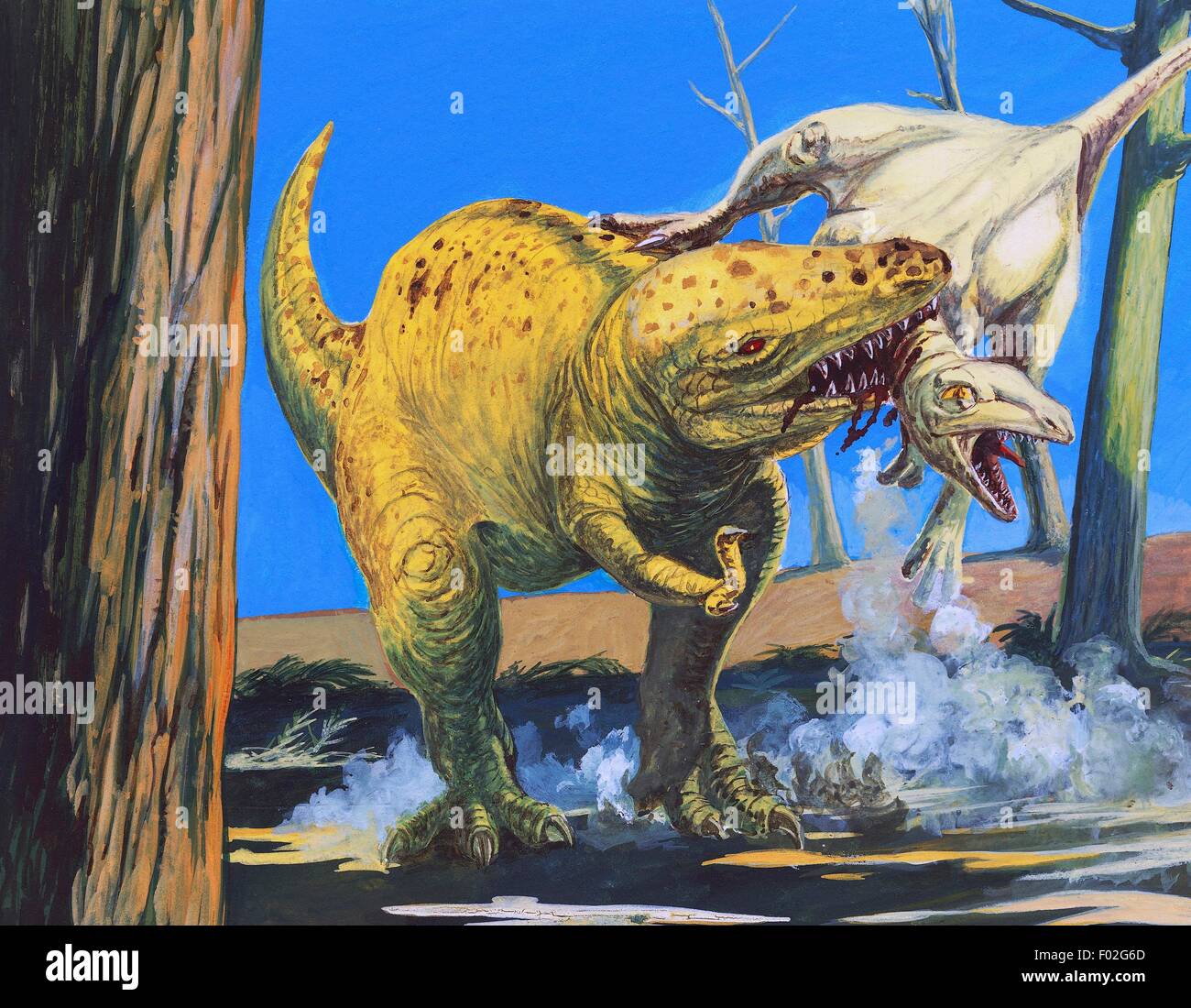 T Rex (Tyrannosaurus rex), Tyrannosauridae, attaquer un Ornitholestes hermanni, Ornitholestidae, fin du Crétacé. L'illustration. Banque D'Images