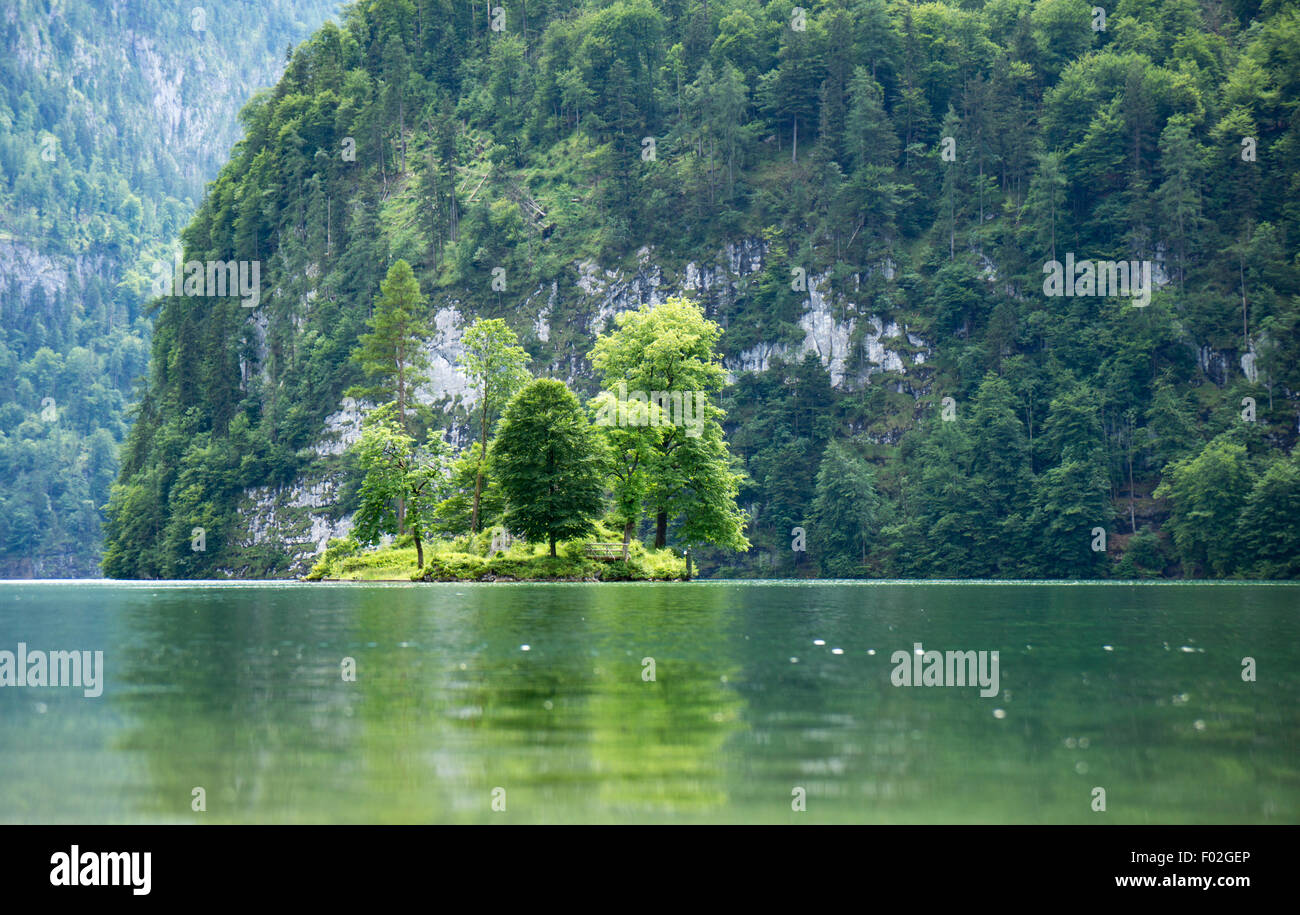 Arbres sur une île dans le lac alpin, Konigssee, Bavière, Allemagne Banque D'Images
