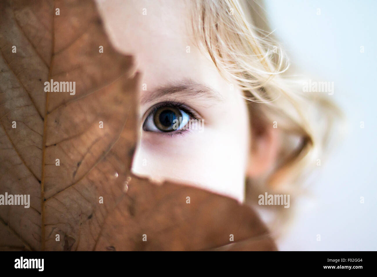 Portrait d'une jeune fille se cacher derrière leaf Banque D'Images