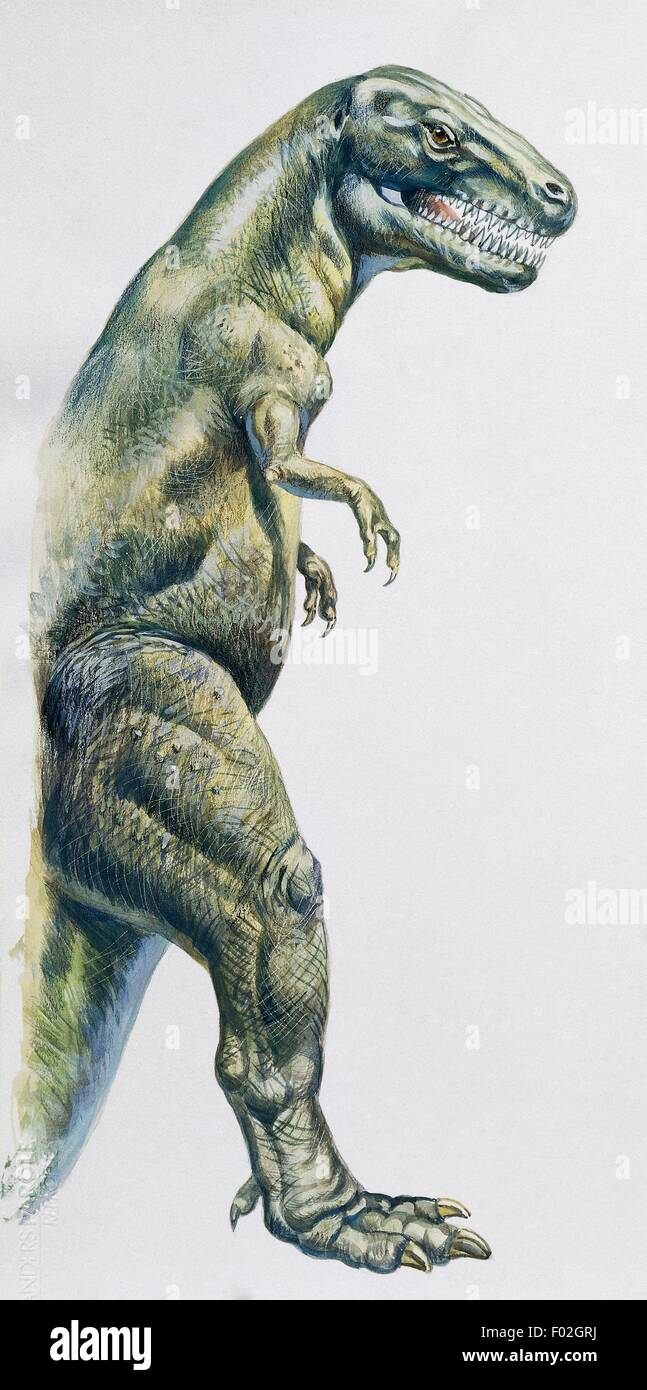 Paléozoologie - Crétacé - Dinosaures - Tyrannosaurus rex - Illustration. Banque D'Images