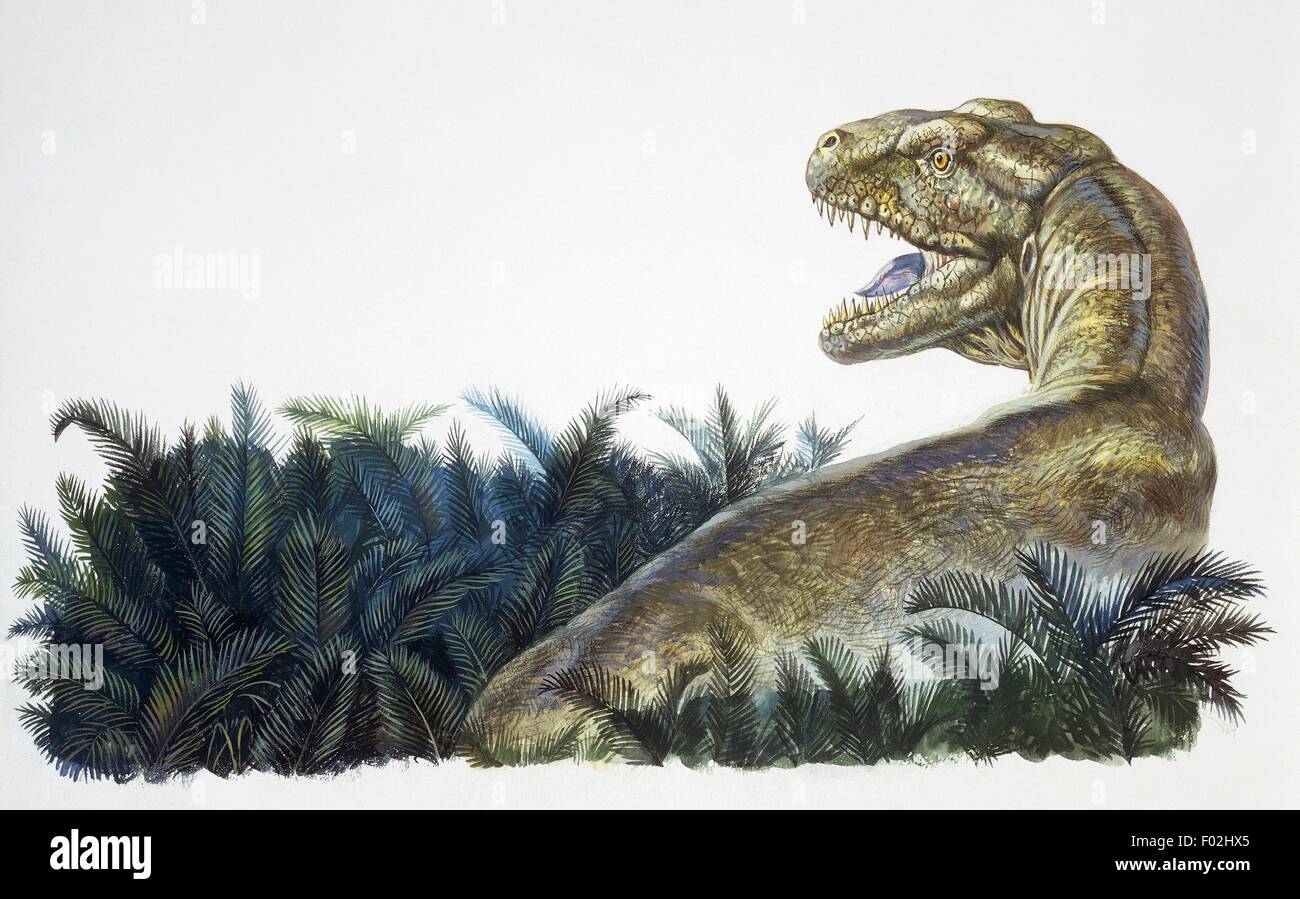 Reconstruction de tyrannosaure (Tyrannosaurus rex), théropode, Crétacé. Illustration couleur. Banque D'Images