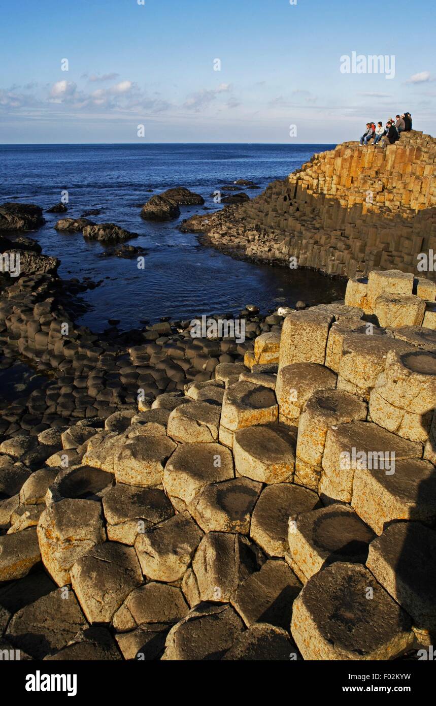 Le Giant's Causeway, rocheux, d'orgues basaltiques (Liste du patrimoine mondial de l'UNESCO, 1986) sur la côte près de Bushmills, Irlande du Nord, Royaume-Uni. Banque D'Images