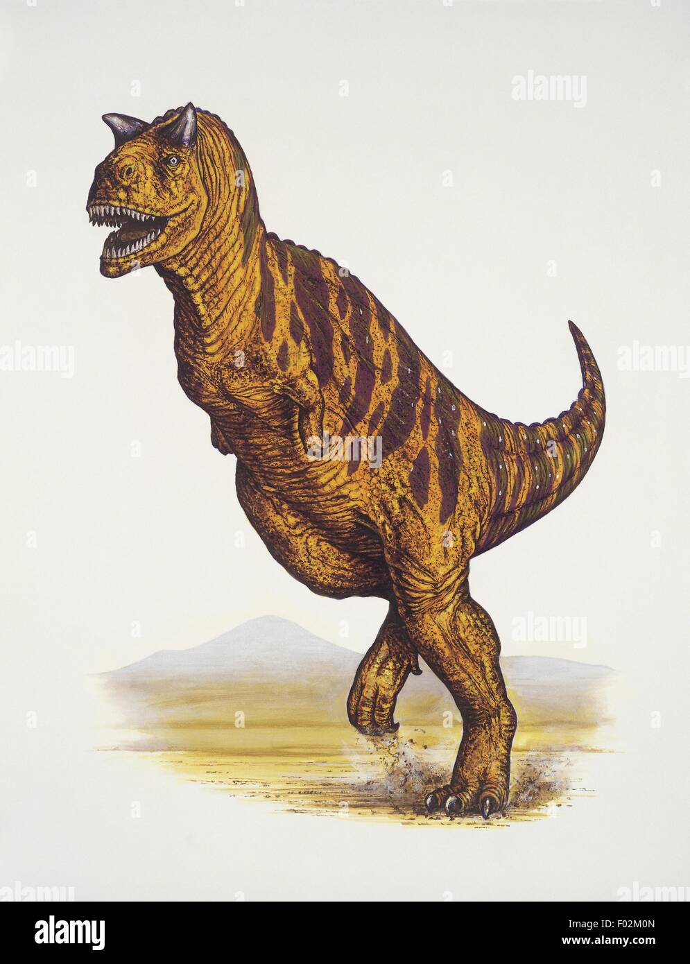 Paléozoologie - Crétacé - Dinosaures - Carnotaurus (art par Neil Lloyd) Banque D'Images