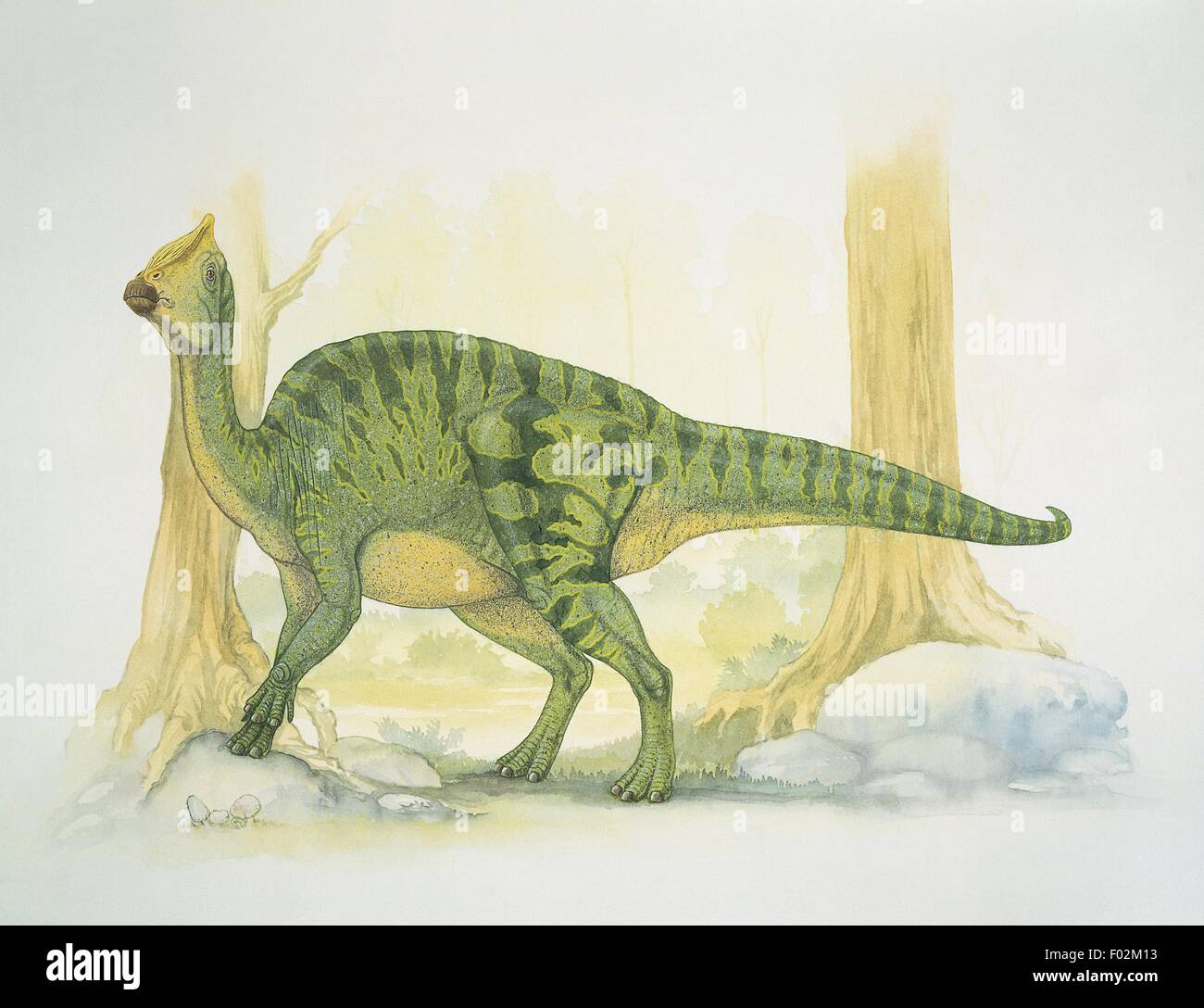 Paléozoologie - Crétacé - Dinosaures - Amiee (art par Graham Rosewarne) Banque D'Images