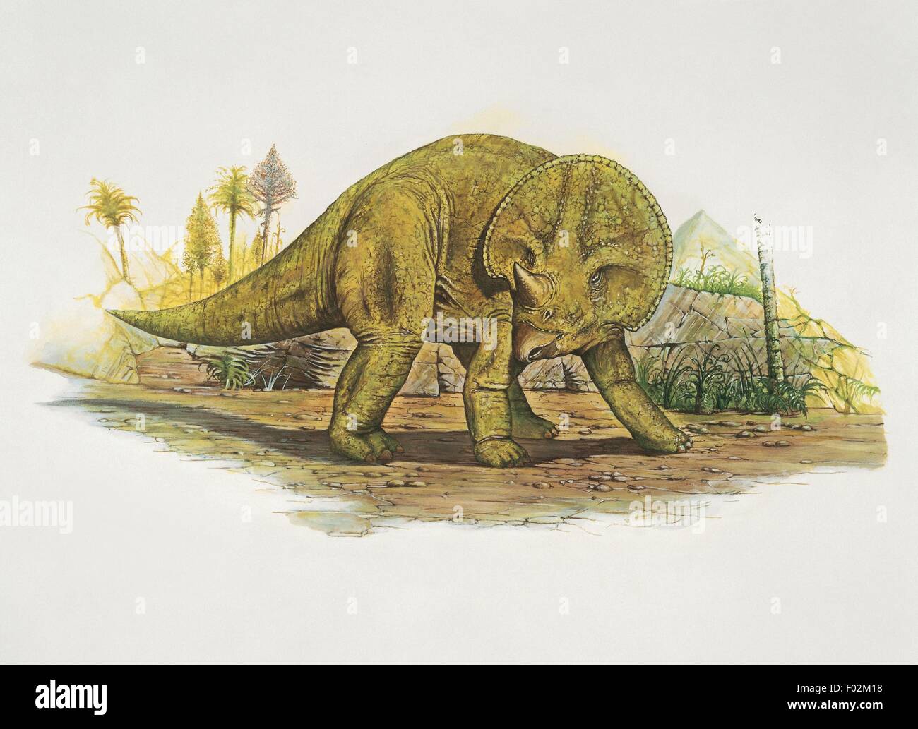 Paléozoologie - Crétacé - Dinosaures - Avaceratops (art par Neil Lloyd) Banque D'Images
