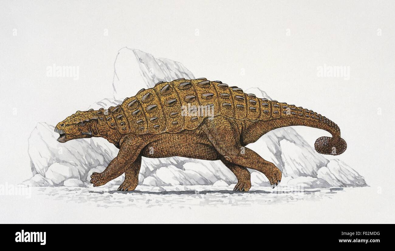 Paléozoologie - Crétacé - Dinosaures - Pinacosaurus (art par Graham Rosewarne) Banque D'Images