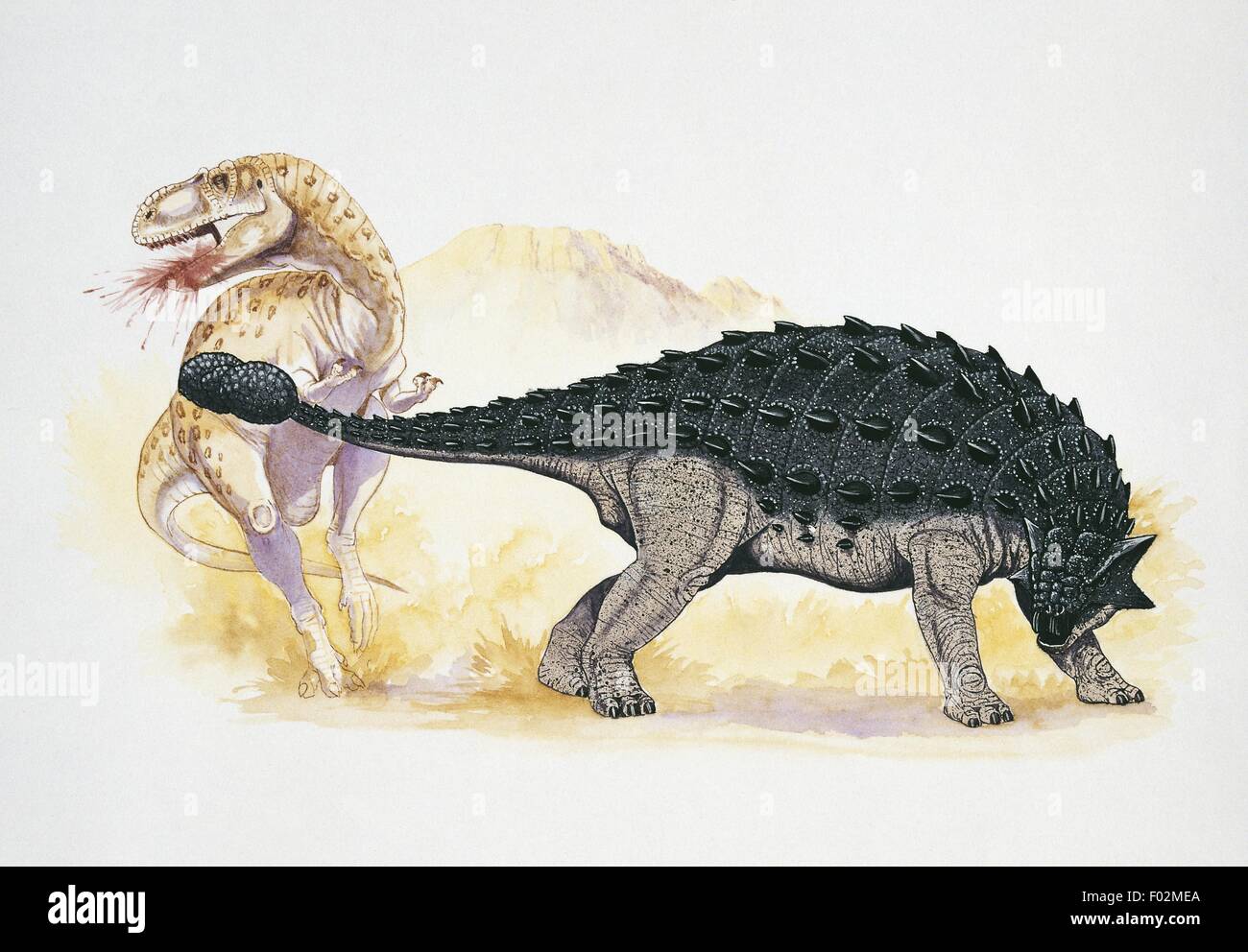 Paléozoologie - Crétacé - Dinosaures - Saichania - Art par Graham Rosewarne Banque D'Images