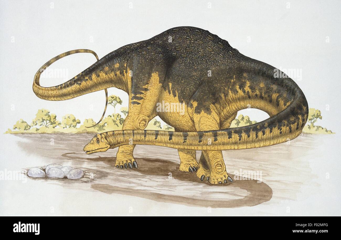 Paléozoologie - Crétacé - Hypselosaurus (art par Graham Rosewarne) Banque D'Images