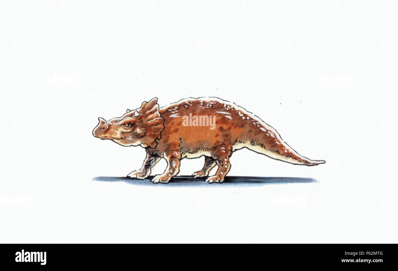 Paléozoologie - Cretacerous - période dinosaures - Brachyceratops - travail d'Art Banque D'Images