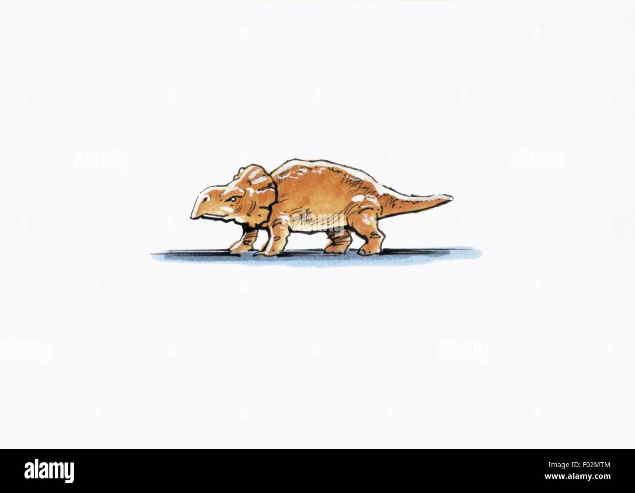 Paléozoologie - Crétacé - Dinosaures - Bagaceratops - travail d'Art Banque D'Images