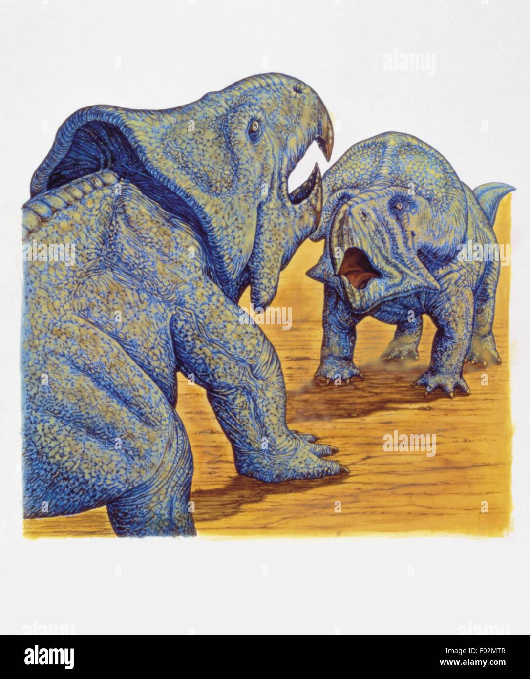Paléozoologie - Crétacé - Dinosaures - Protoceratops - travail d'Art Banque D'Images