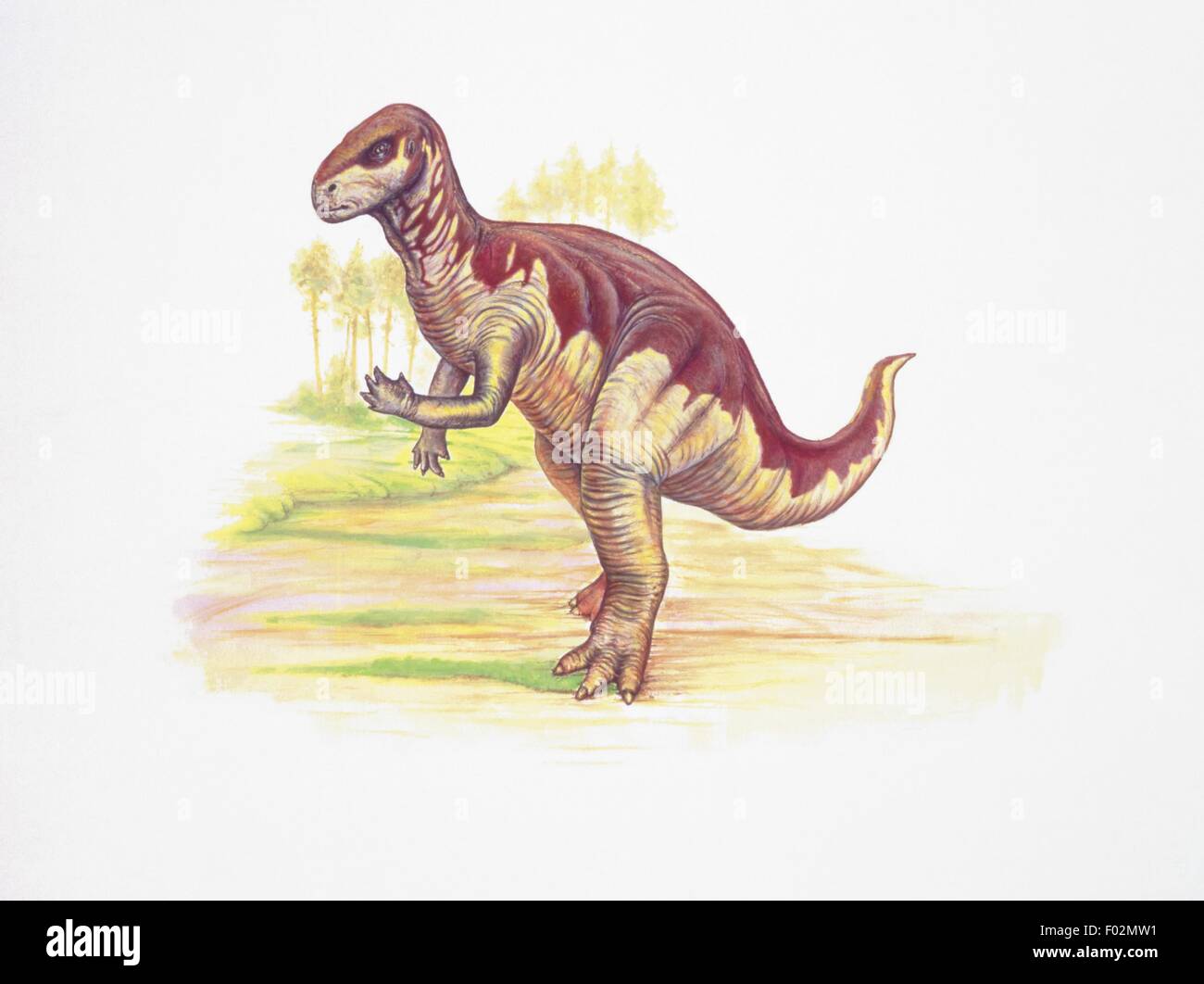 Paléozoologie - Jurassique - Dinosaures - Camptosaurus. Le travail d'art Banque D'Images