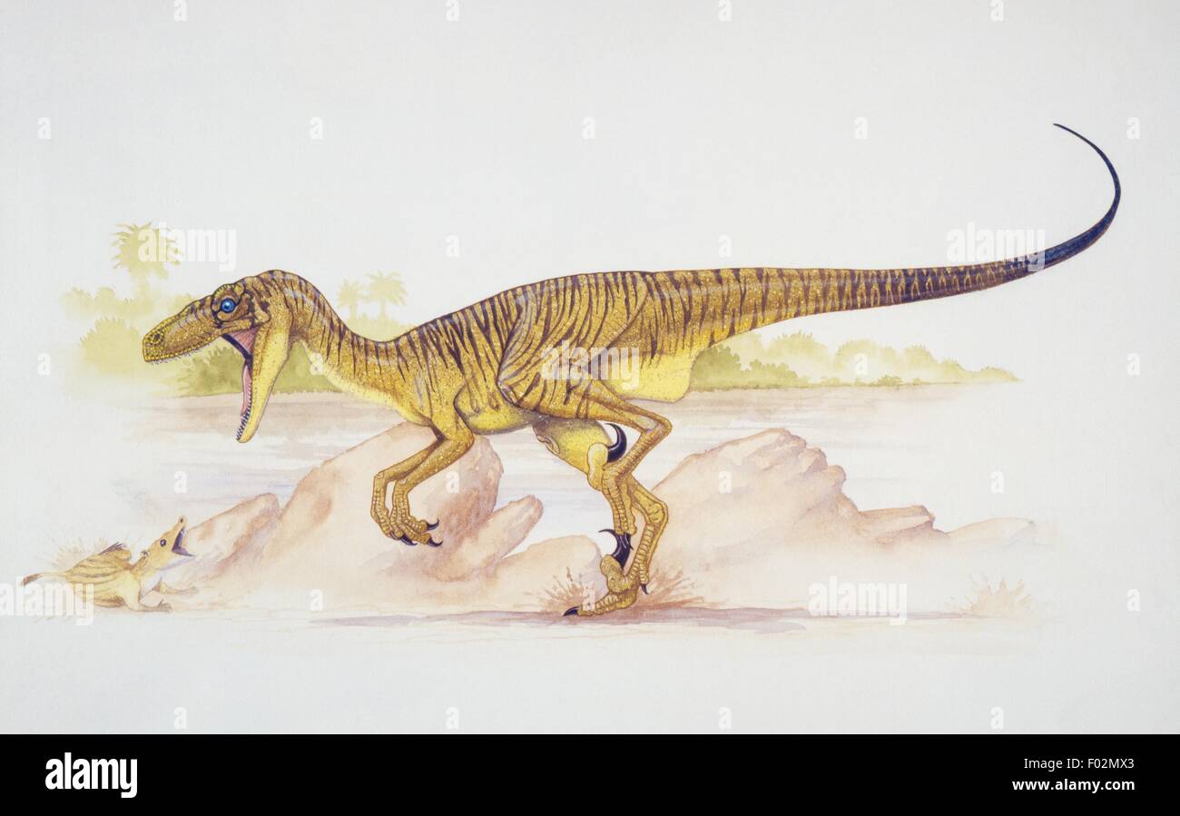 Paléozoologie - Crétacé - Dinosaures - Deinonychus. Le travail d'art Banque D'Images