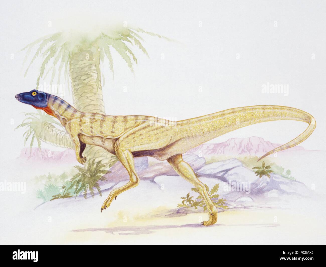 Paléozoologie - Jurassique - Dinosaures - Art - Sarauniya Banque D'Images