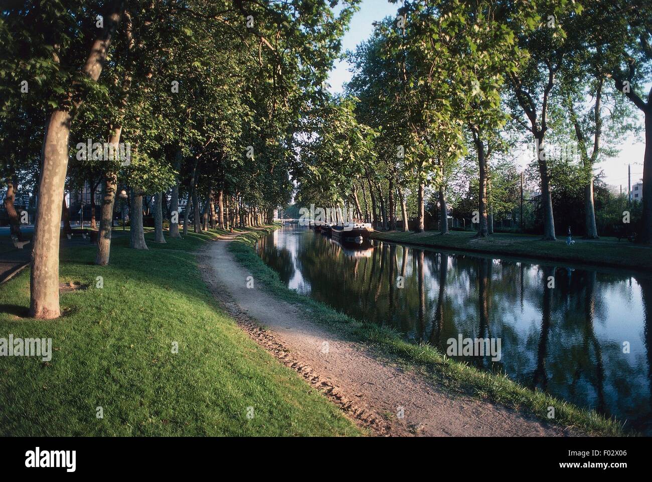 Le canal de Brienne flanqué de deux rangées d'arbres, Toulouse, Midi-Pyrénées, France. Banque D'Images