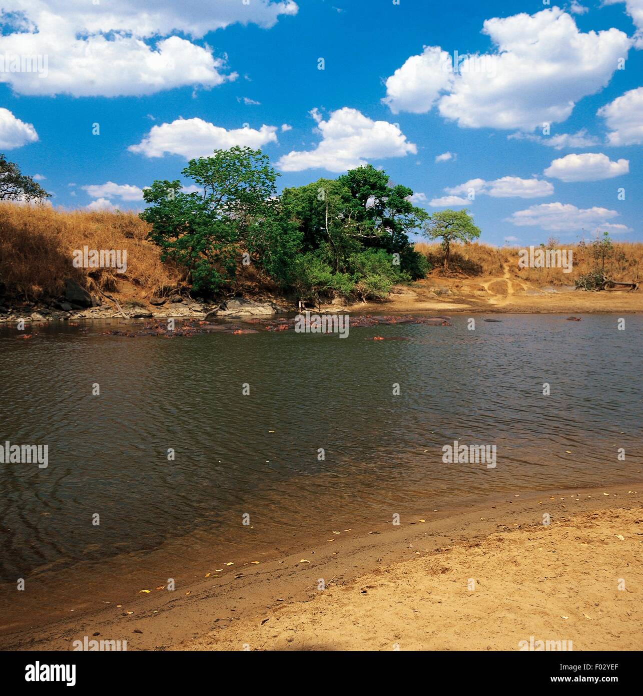 Un tronçon de la rivière Dungu, Parc National de la Garamba (Liste du patrimoine mondial de l'UNESCO, 1980), République démocratique du Congo. Banque D'Images