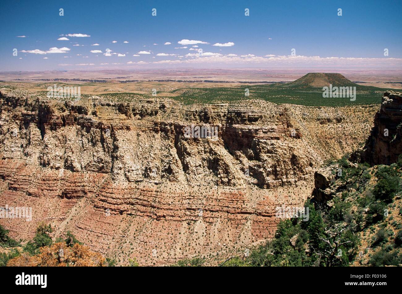 Mesa Verde vu de Desert View, du Plateau du Colorado, Mesa Verde National Park (Liste du patrimoine mondial de l'UNESCO, 1978), Colorado, États-Unis d'Amérique. Banque D'Images