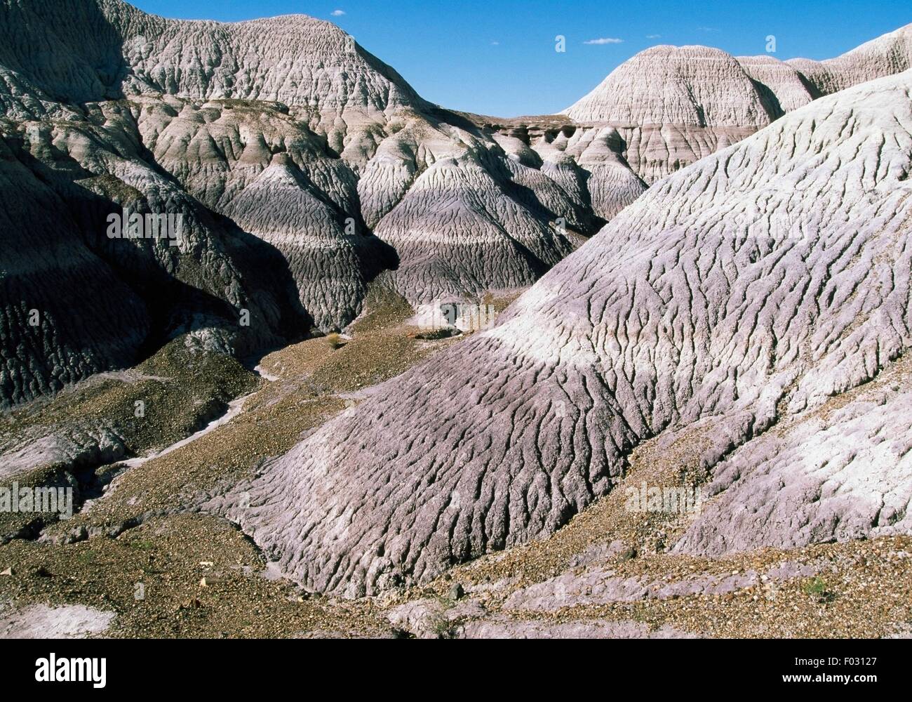Blue Mesa, Parc National de la Forêt Pétrifiée, Arizona, États-Unis d'Amérique. Banque D'Images