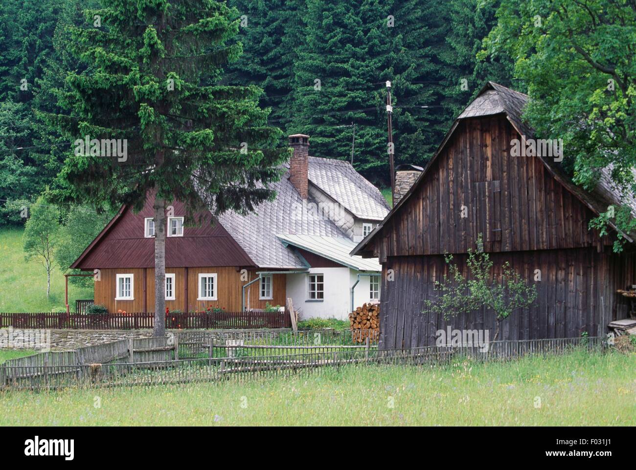Maisons en bois dans les Sudètes, Bohême, République tchèque. Banque D'Images