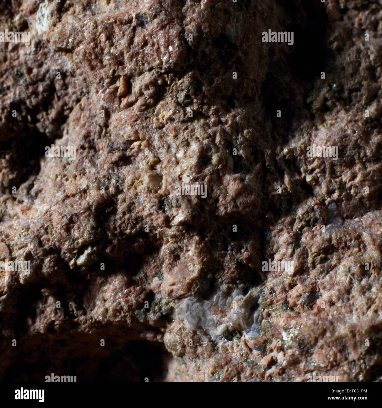 Du granophyre, texture fine de roche ignée, de Valganna, Lombardie, Italie. Banque D'Images