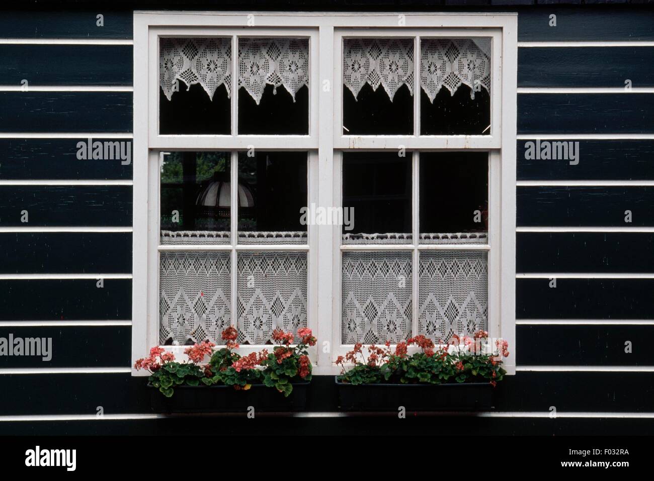 Fenêtre avec les boîtes à fleurs à Marken, aux Pays-Bas. Banque D'Images