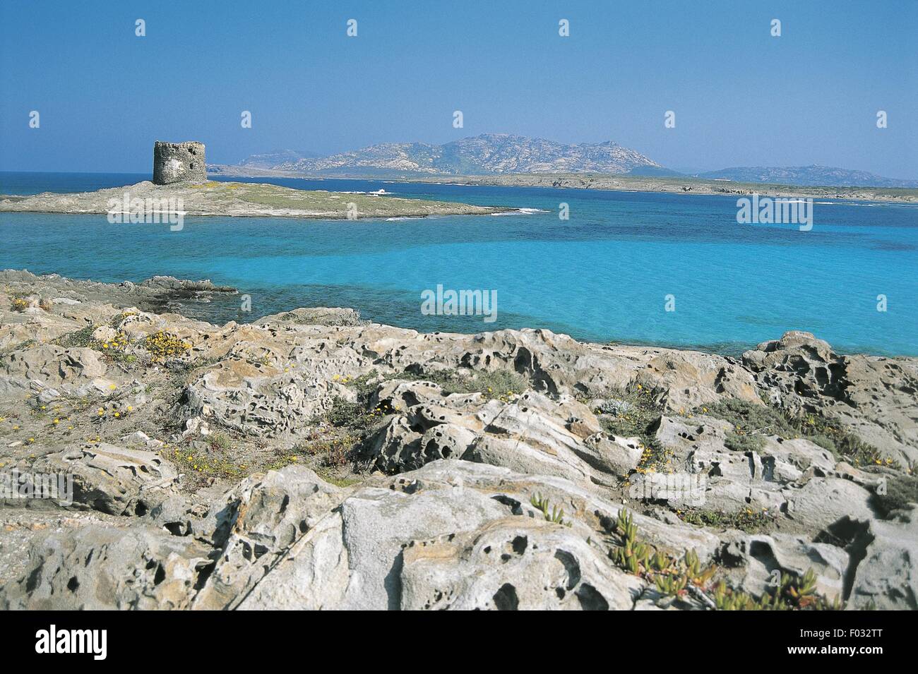 Italie - Sardaigne - Capo del Falcone à l'île de l'Asinara en arrière-plan Banque D'Images