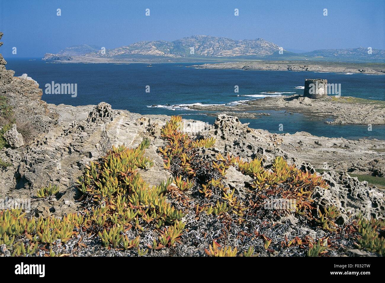 Italie - Sardaigne - Capo del Falcone avec l'île de l'Asinara en arrière-plan Banque D'Images