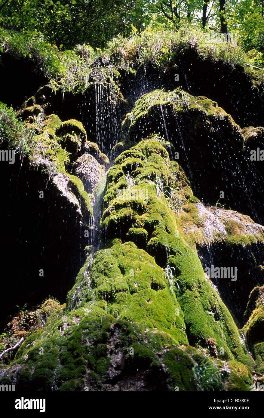 Des roches couvertes de mousse dans la Valle dei Mulini (La Vallée des moulins), Réserve naturelle de la Valle delle Ferriere, Campanie, Italie. Banque D'Images