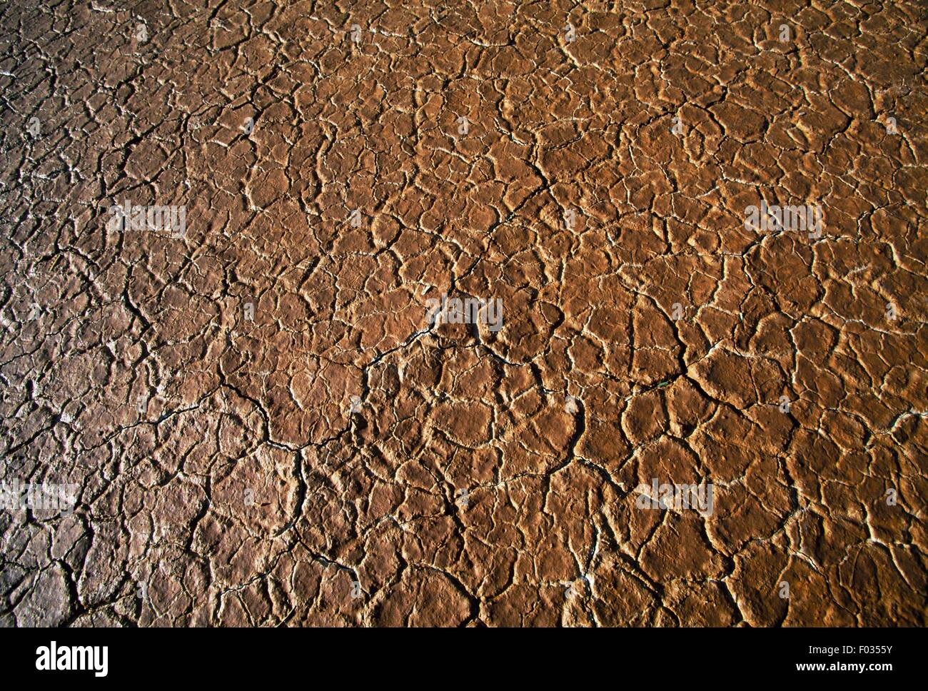 Effets de la sécheresse sur le fond d'un étang asséché, désert de Sonora, près de Tucson, Arizona, United States. Banque D'Images