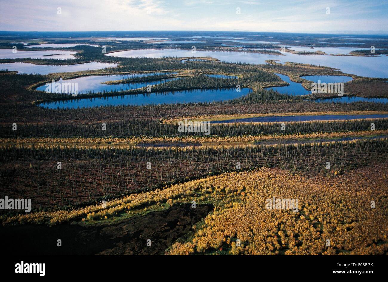 Vue aérienne du delta du fleuve Mackenzie, Yukon, Canada. Banque D'Images