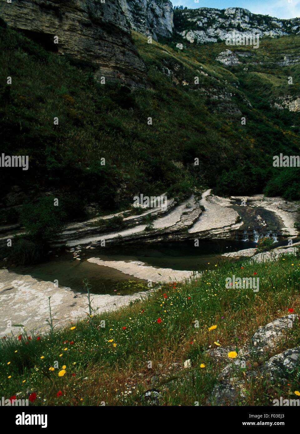 Central Lake, réserve naturelle de Cavagrande del Cassibile, Sicile, Italie. Banque D'Images