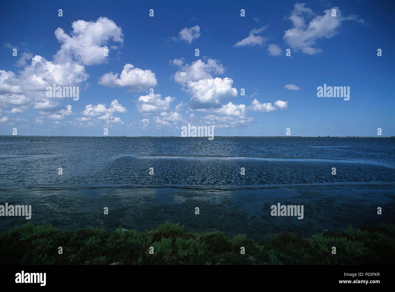 Italie Région des Pouilles Parc National du Gargano Lac de Lesina