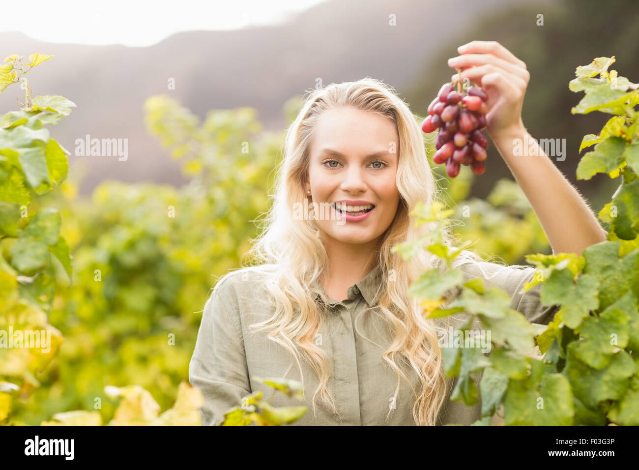 Smiling blonde tenant un viticulteur raisin rouge Banque D'Images