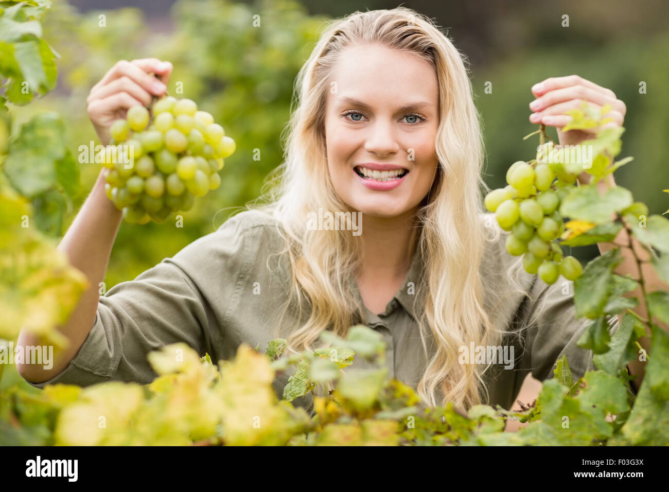 Vigneron Smiling blonde holding grapes Banque D'Images