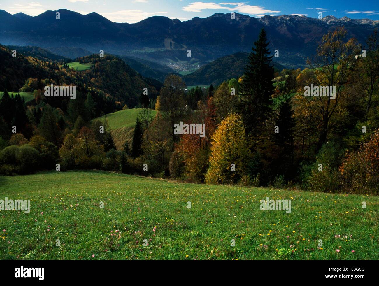 Vallée de Bohinj avec Lepa Komna plateau dans l'arrière-plan, le parc national du Triglav (Triglavski Narodni Park), la Slovénie. Banque D'Images