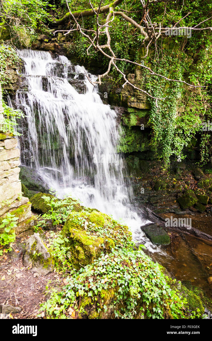 Wensley Wensleydale Cascade rivière Ouse UK Angleterre Nord Yorkshire Dales Banque D'Images