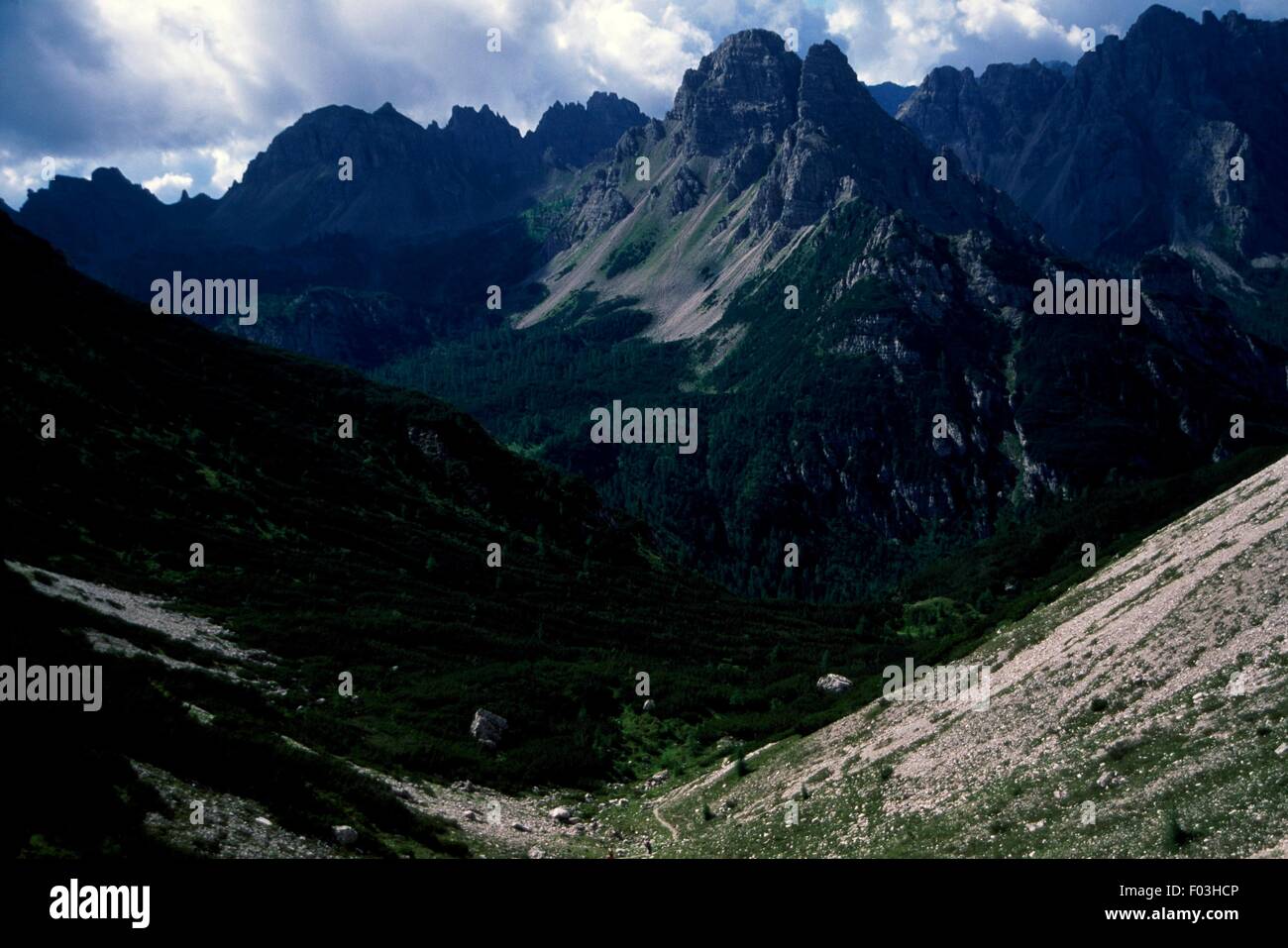 Vallée d'Urtisei Menon fourchette, Parc Naturel Régional des Dolomites en frioulan, Frioul-Vénétie Julienne, Italie. Banque D'Images
