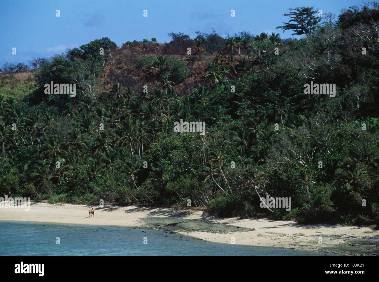 Plage et forêt subtropicale, près de l'Nabukeru, Yasawa Island (Fidji). Banque D'Images